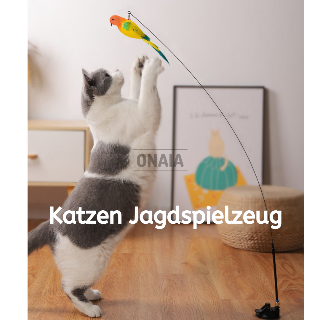 Katzen Jagdspielzeug