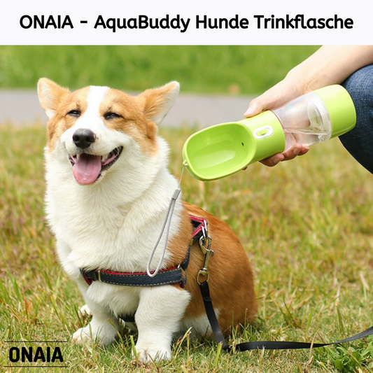 AquaBuddy Hunde Trinkflasche