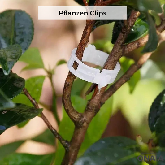 Pflanzen Clips
