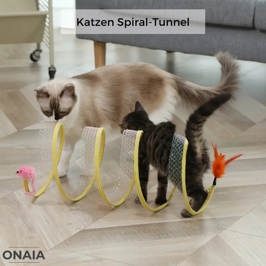 Katzen Spiral-Tunnel