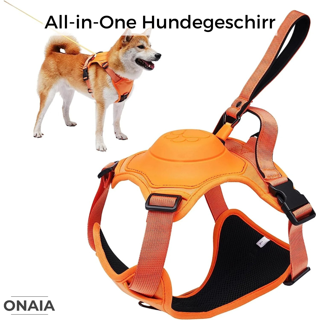 All-in-One Hundegeschirr