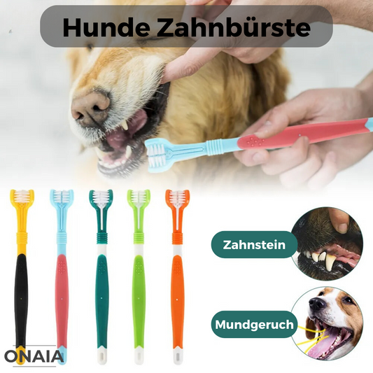 Hunde Zahnbürste