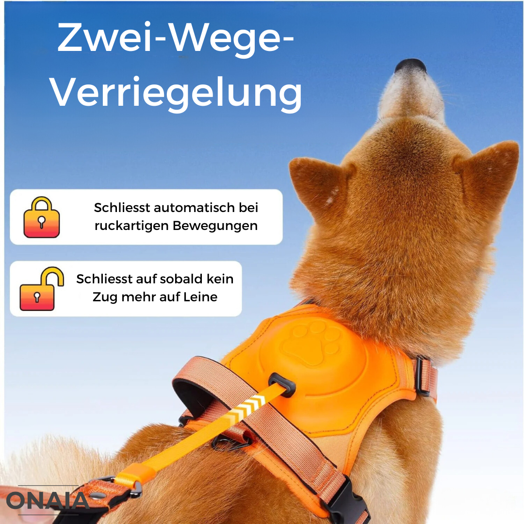 All-in-One Hundegeschirr