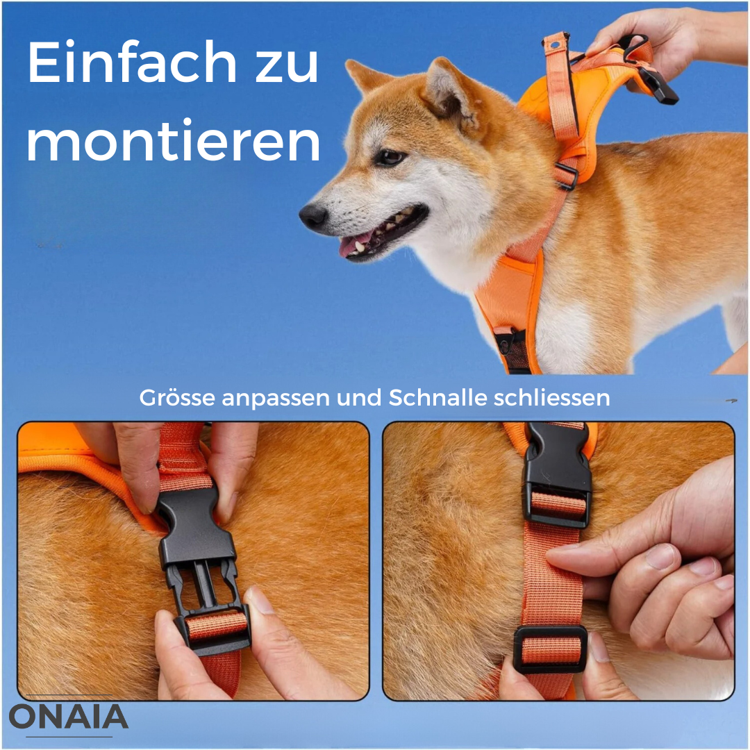 All-in-One Hundegeschirr