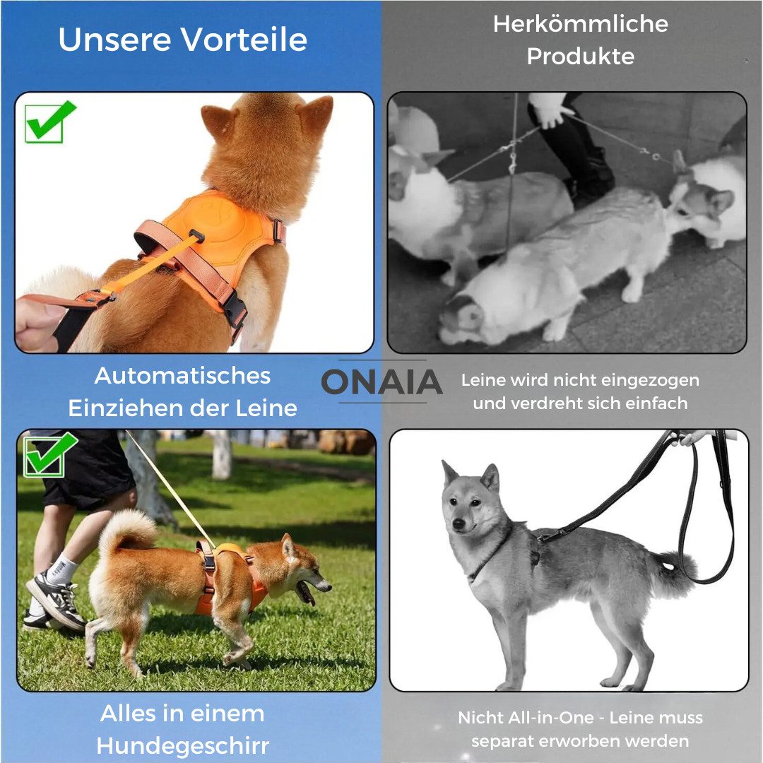 All-in-One Hundegeschirr