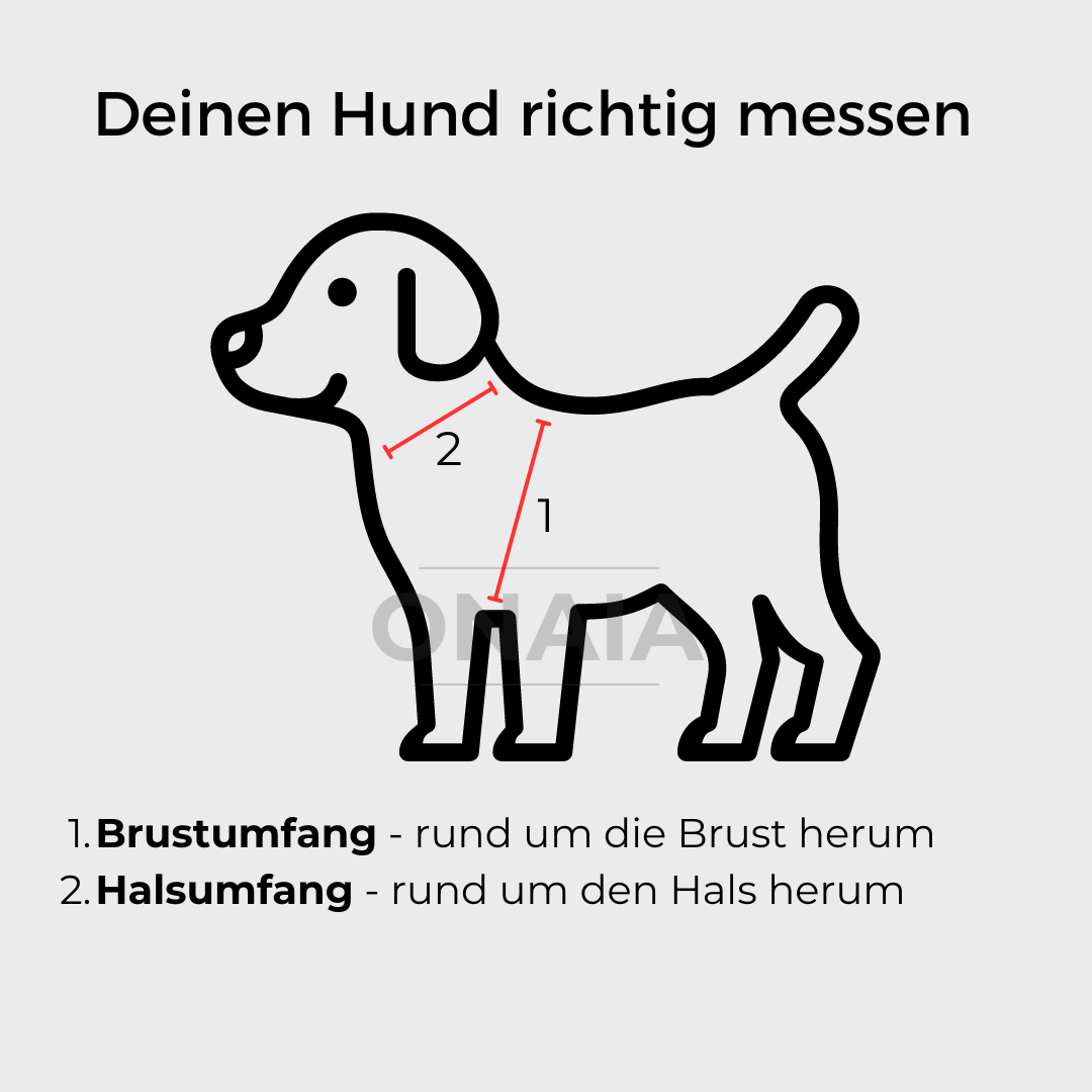 All-in-One Hundegeschirr